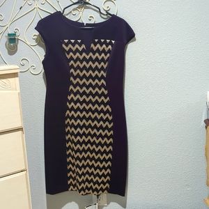 Connected apparel size 8 petite